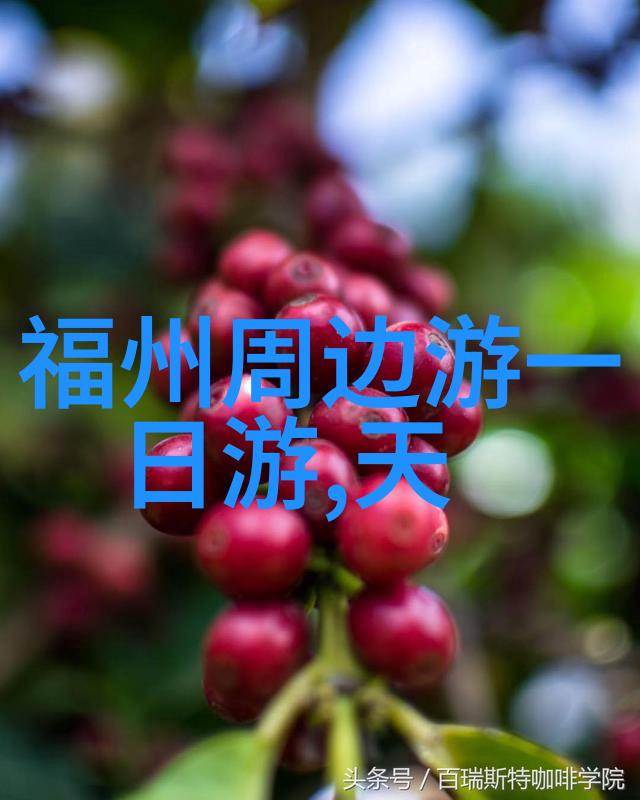 约会国民老公宋仲基时该挑哪款葡萄酒迷住他