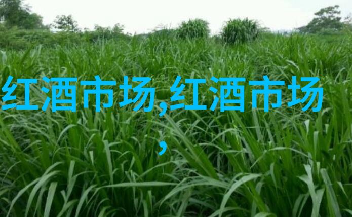 玛歌红亭葡萄酒价格玛歌红亭葡萄酒怎么样