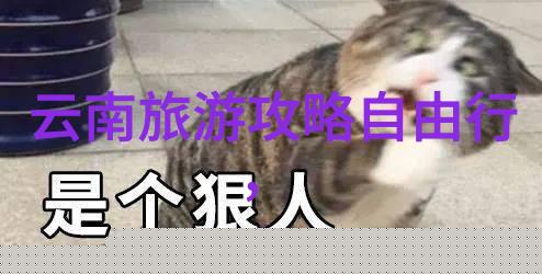 这几款贵人香干白葡萄酒你一定想喝